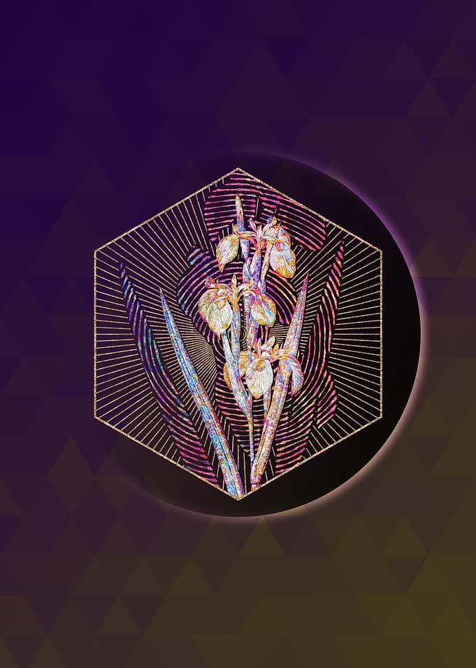 Geometric Mosaic Irises