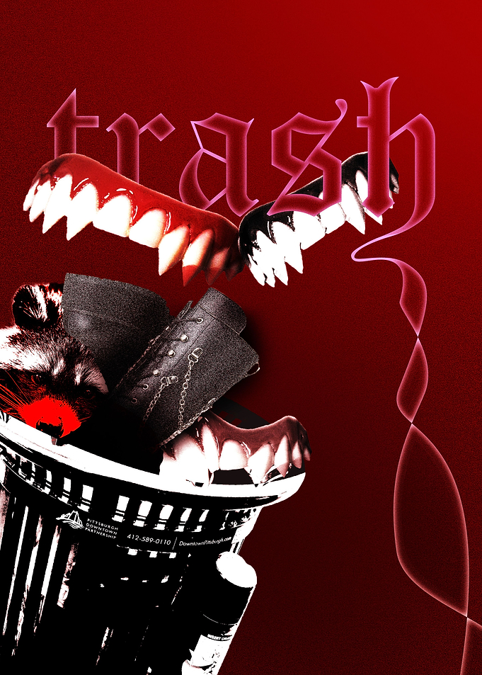 Trash Raccoon