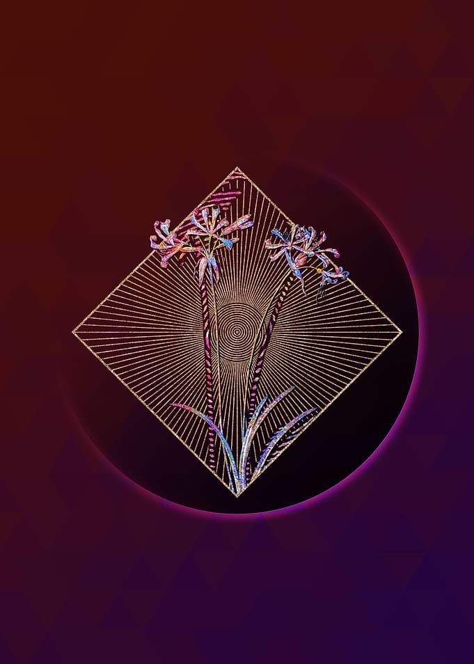 Geometric Mosaic Nerine