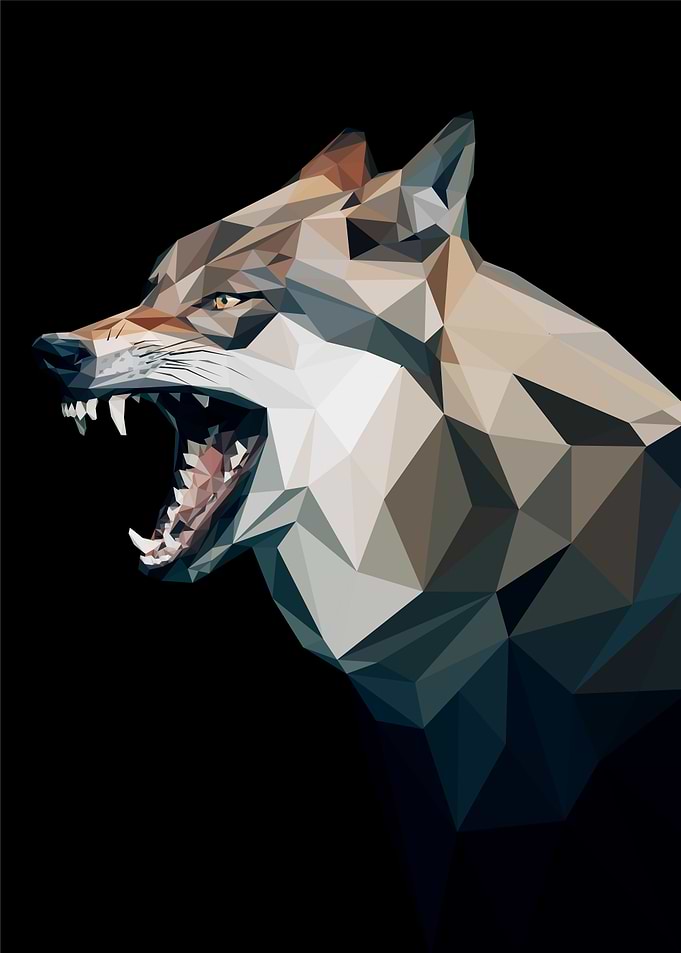 wolves pop art