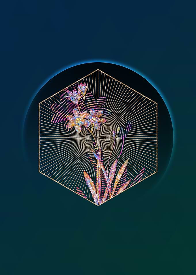 Ixia Grandiflora Mosaic