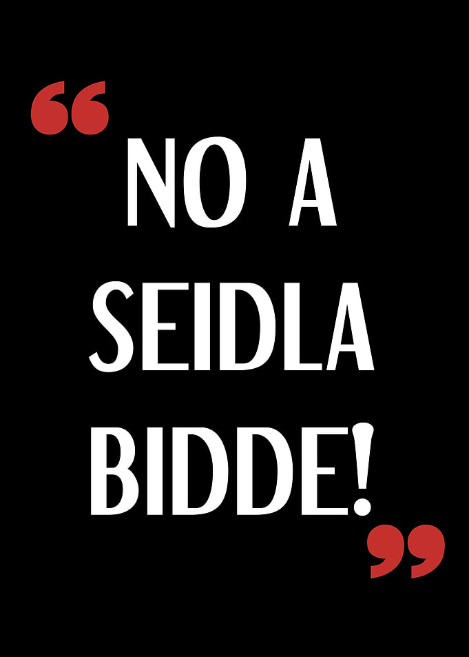 No a seidla bidde Design