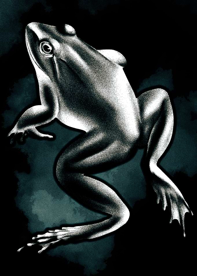 Frog Halftone Dots