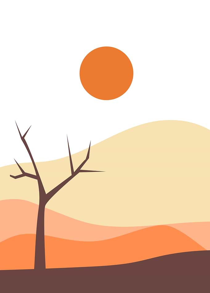 Sun forest tree moutain