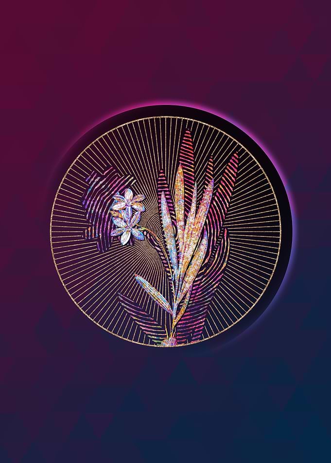Gladiolus Plicatus Mosaic