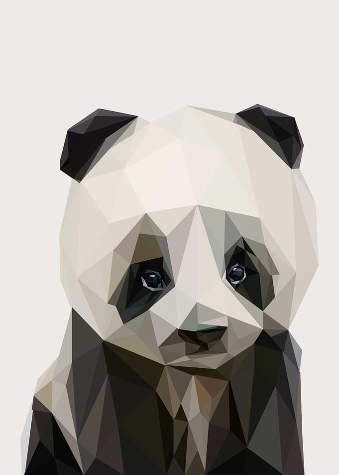 baby panda