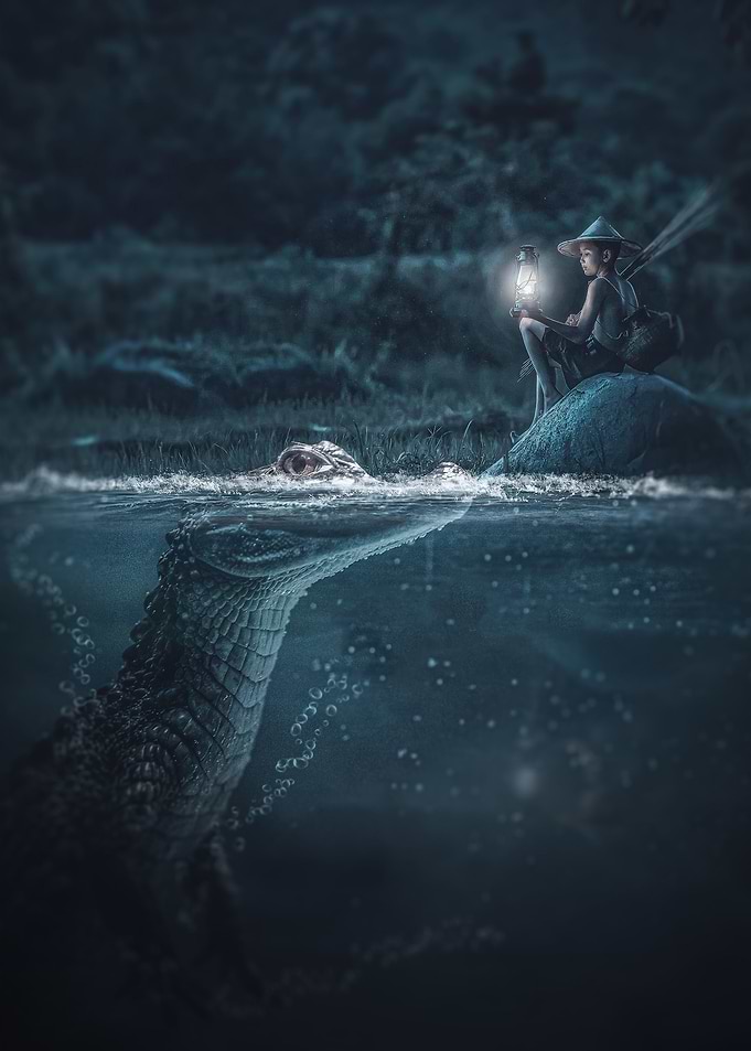 Curious Alligator