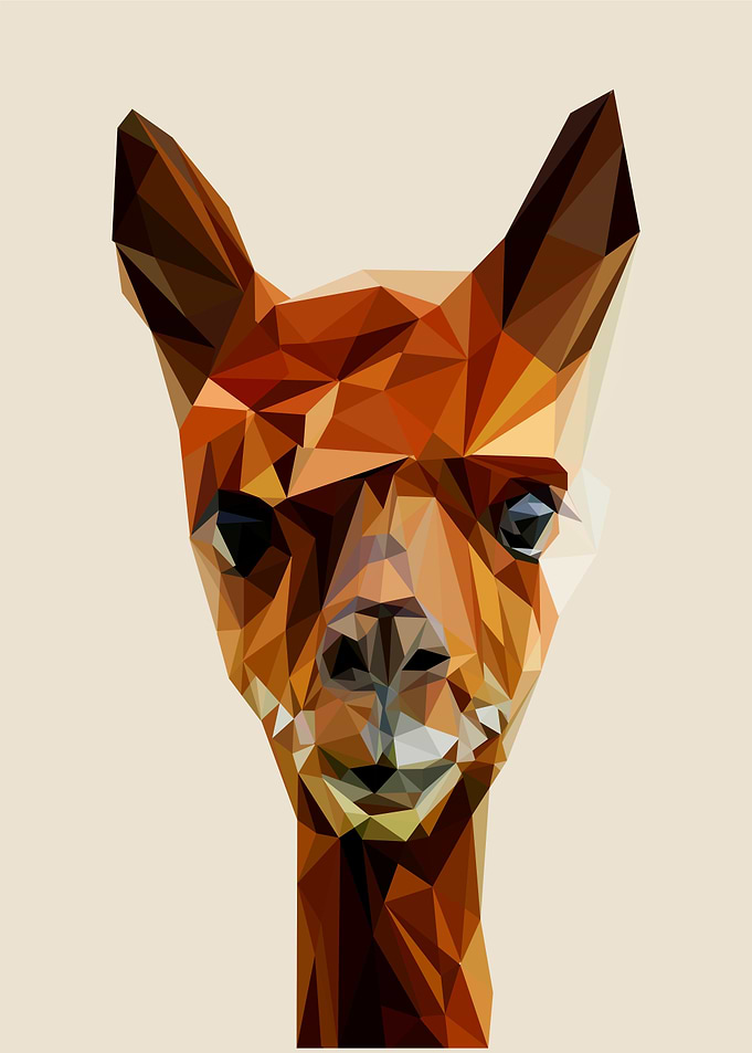 alpaca pop art