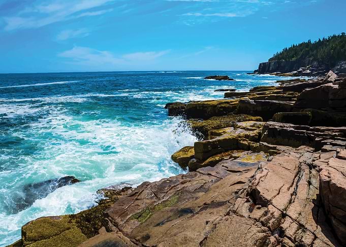 Coastline Acadia