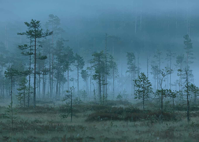 Patvinsuo National park