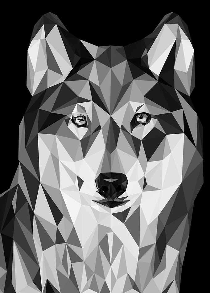 wolf pop art
