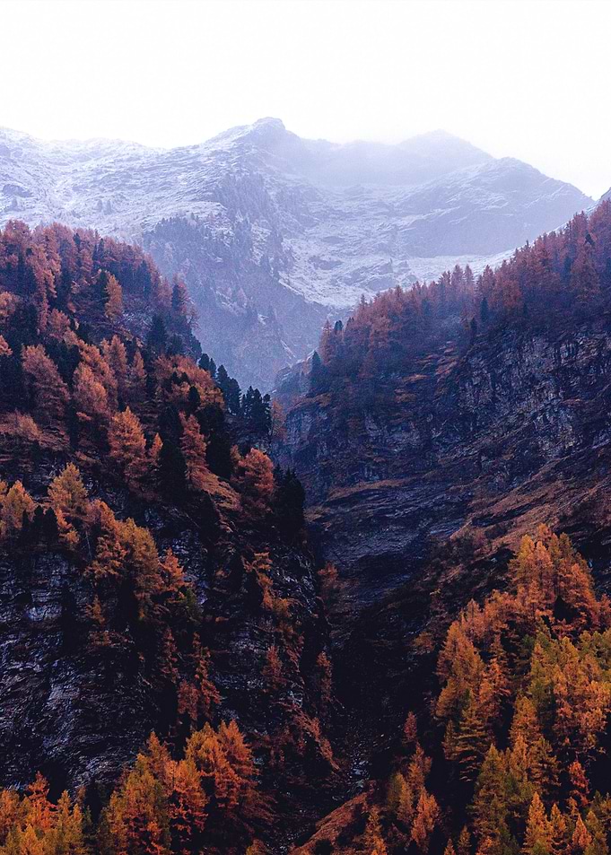 Mountain or Hill