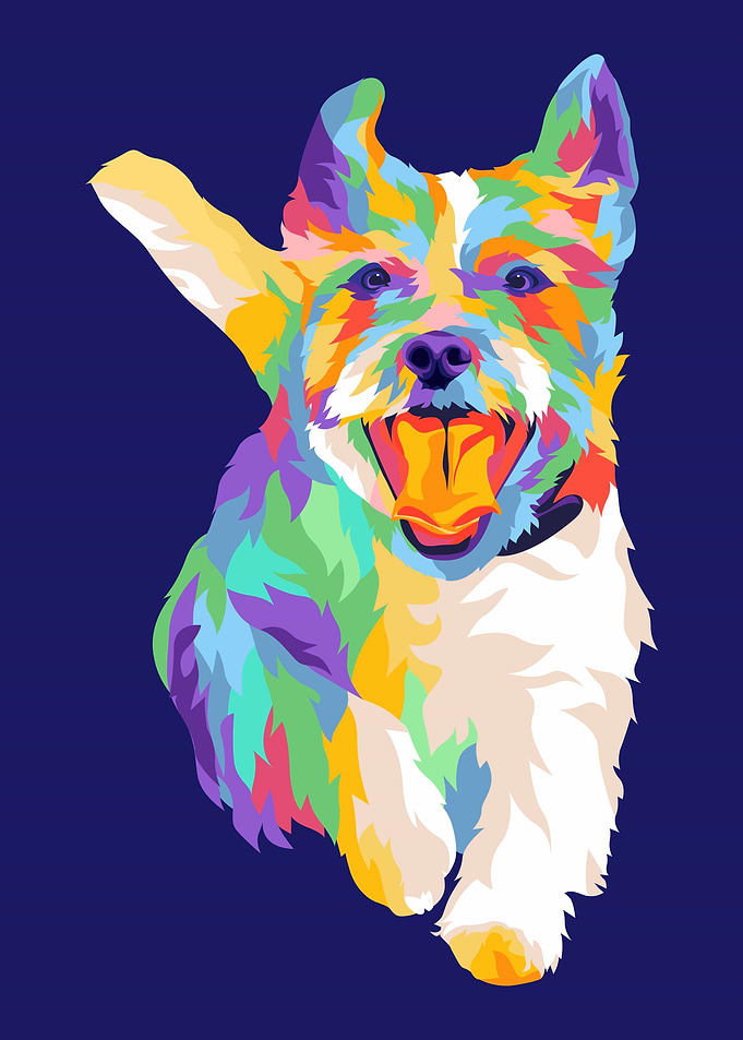 cute dog run