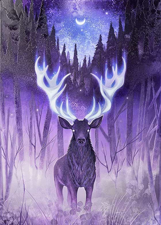 The Dreamwatcher