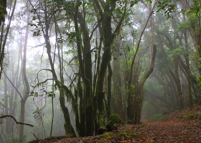 National park