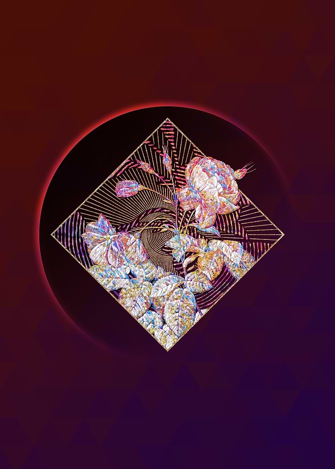 Pink Boursault Rose Mosaic