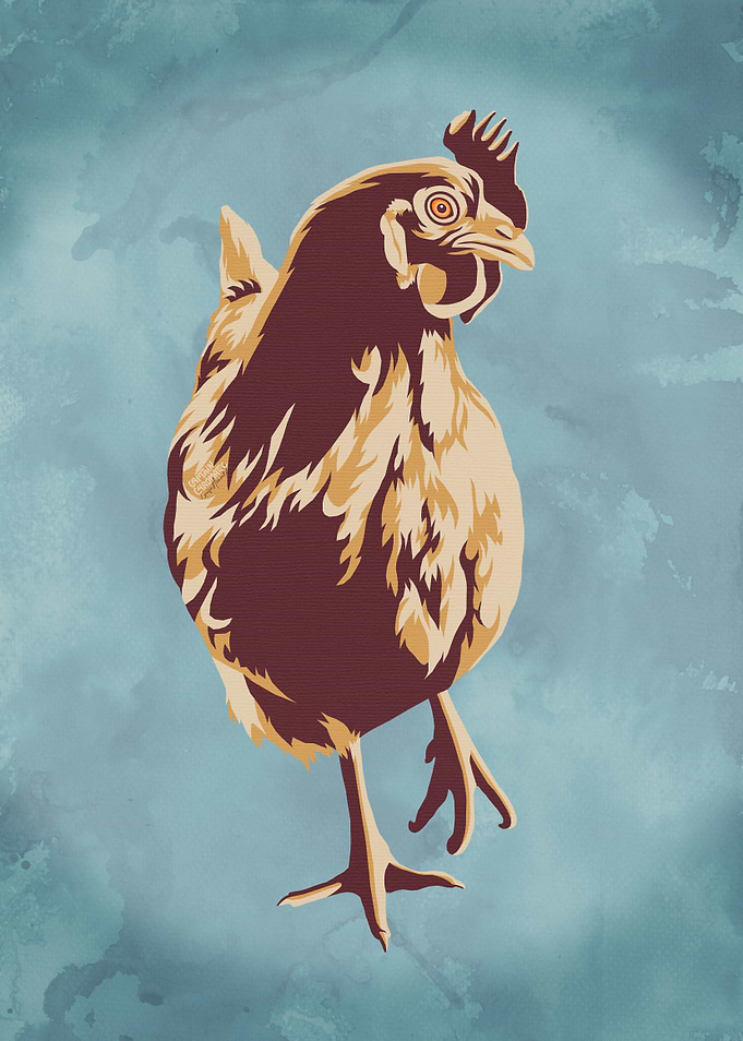 Chicken walking