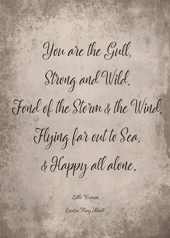 Little Women Quote 17