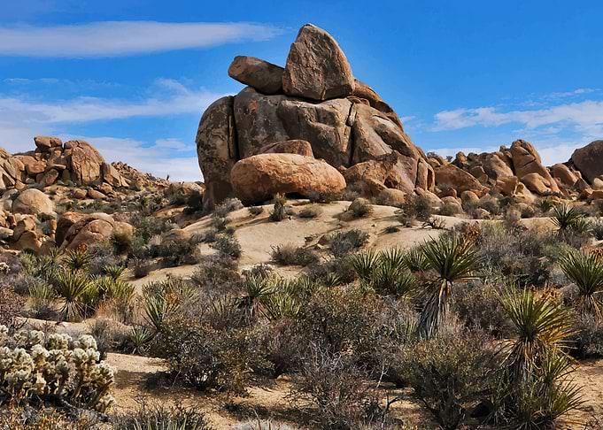 Joshua Tree National Park