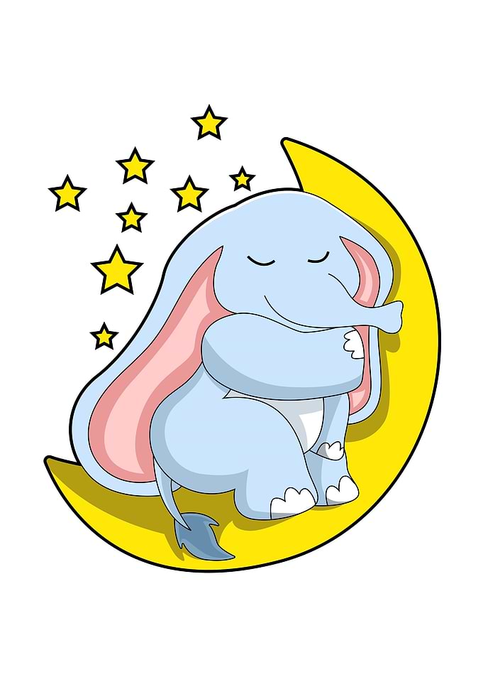 Elephant Moon Stars