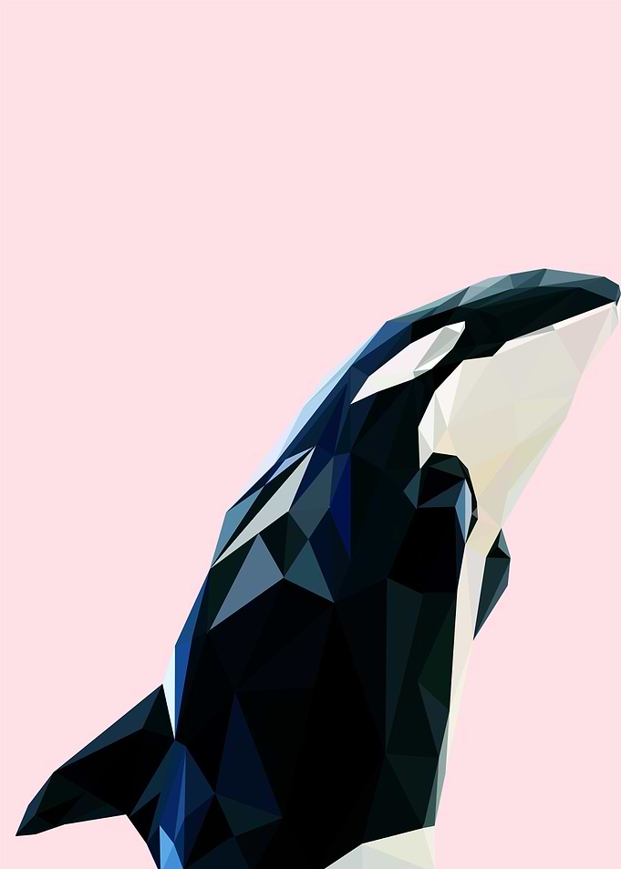 whale pop art