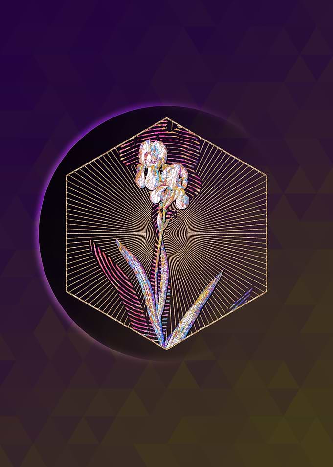Tall Bearded Iris Mosaic