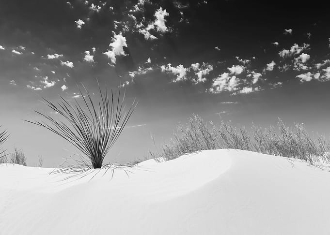 White Sands Impression