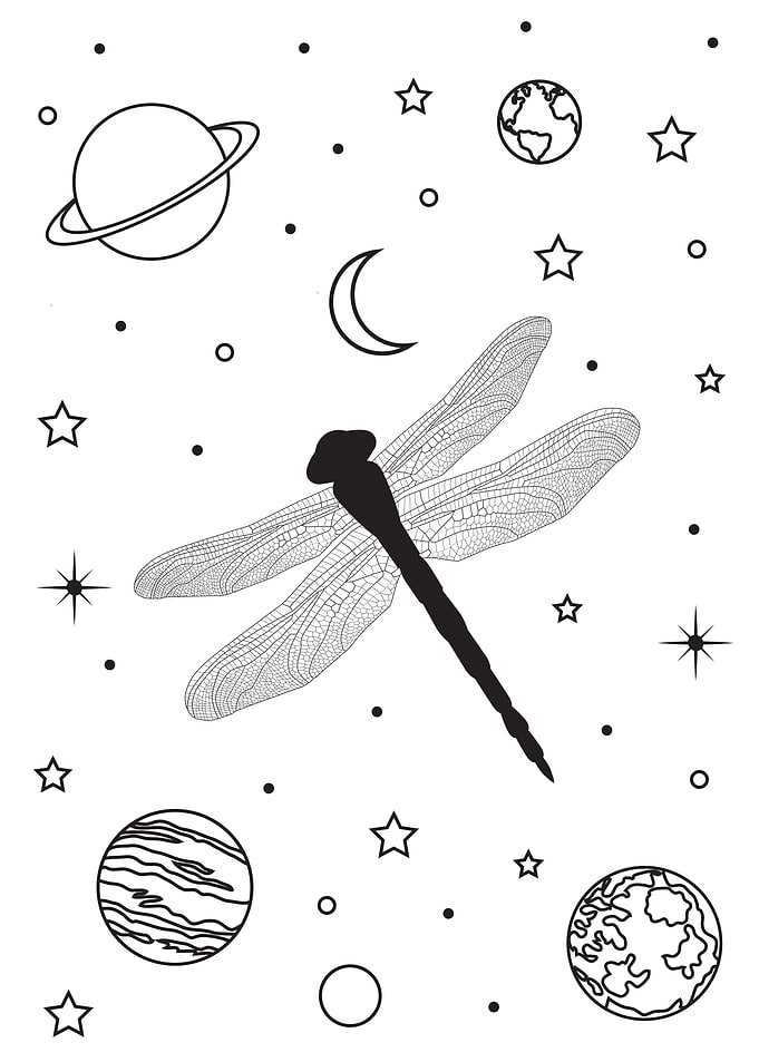 dragonfly