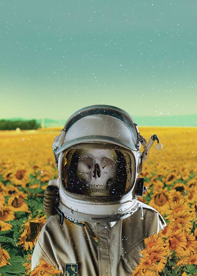 Waiting in a flower planet