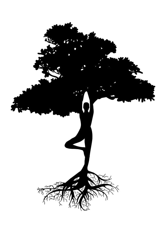 tree of life