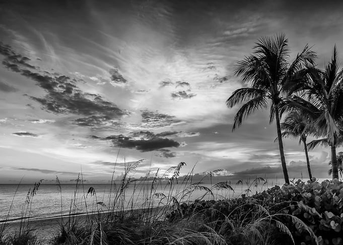 Monochrome Bonita Beach