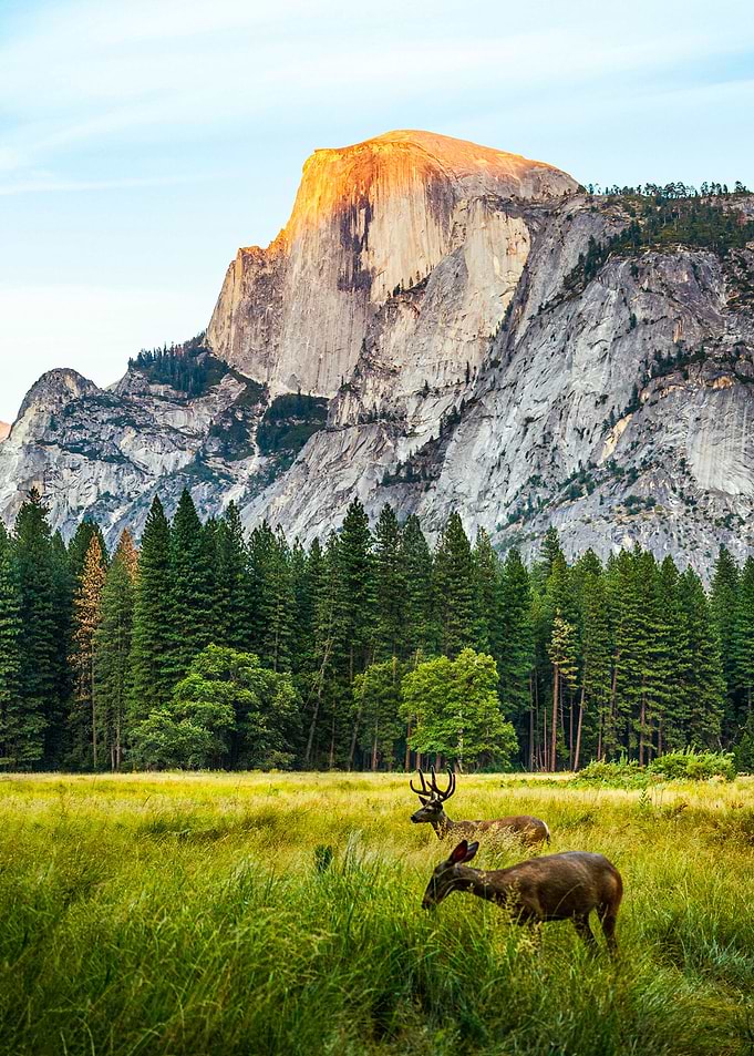 Mountain or Hill