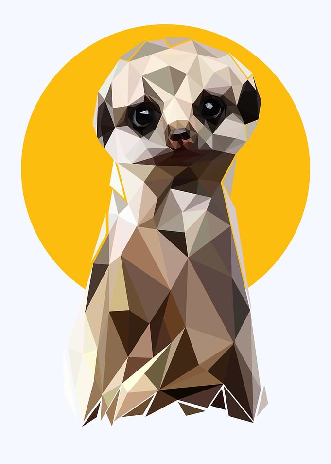 Meerkat pop art