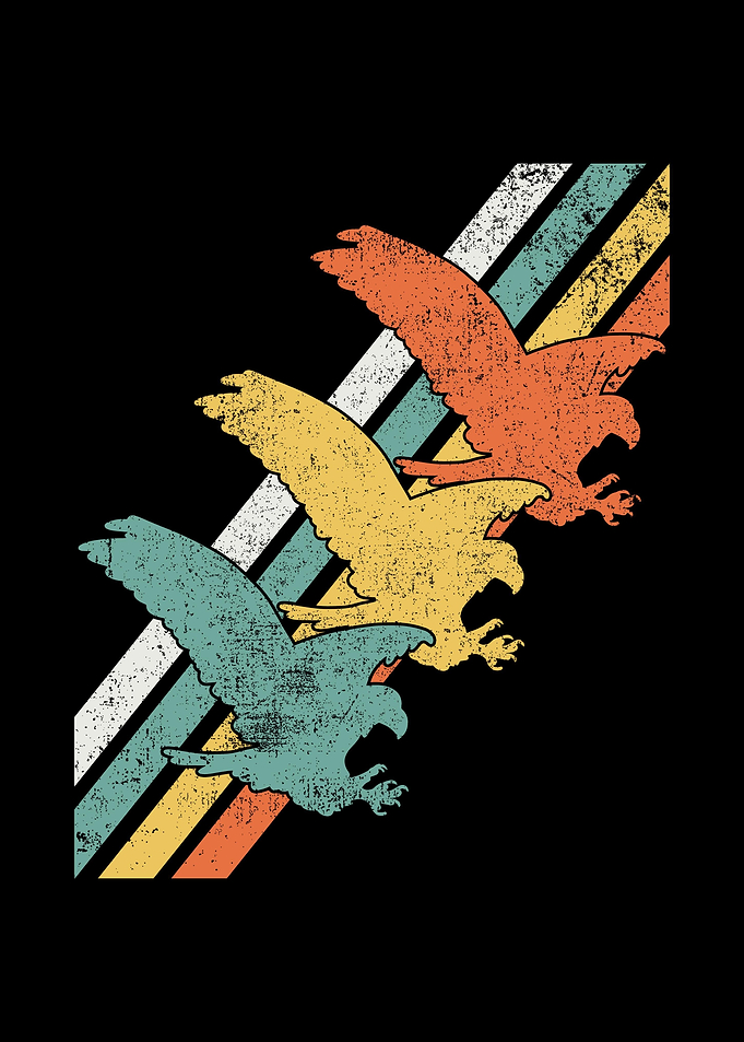 Eagles Eagle Lover