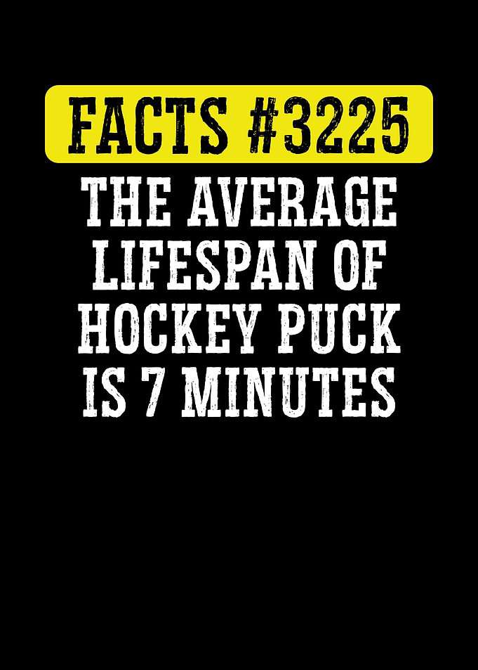 Lifespan of Hockey puck