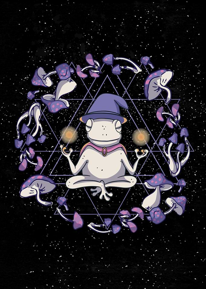 Meditating Mushroom Frog