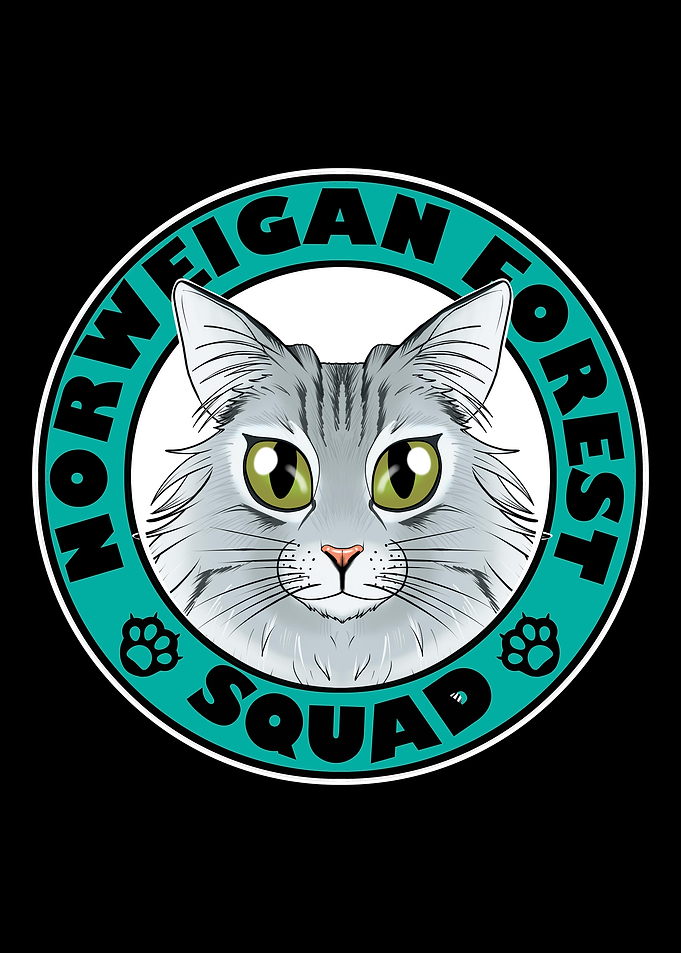 Norwegian Forest Squad I