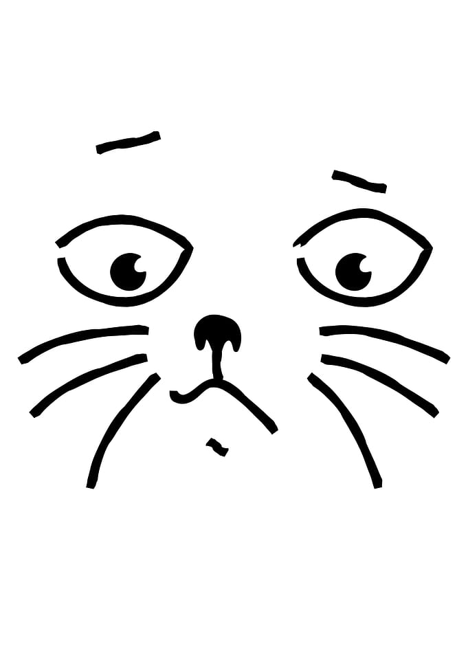 Cringe Cat Face