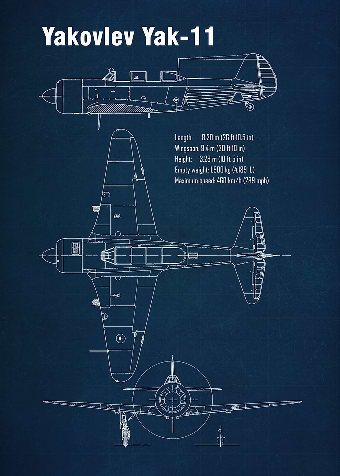 Yakovlev Yak11