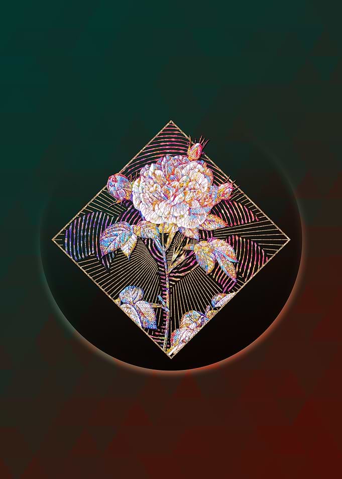 Geometric Mosaic Rosa Alba