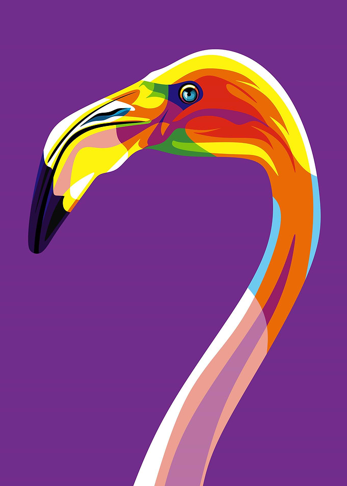 Flamingo