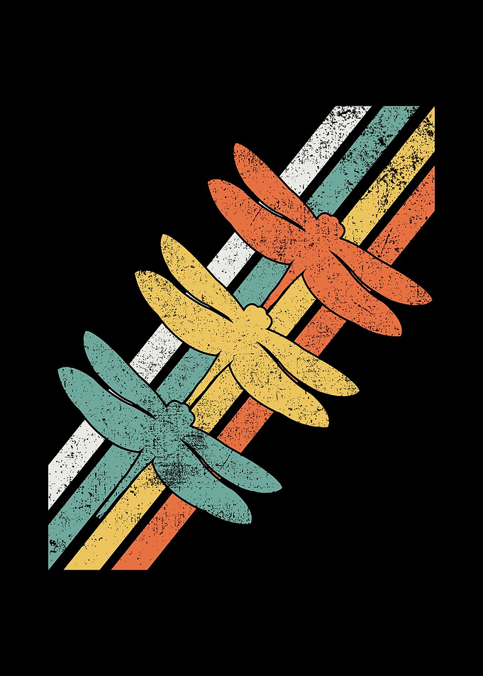 Dragonfly Dragonflies