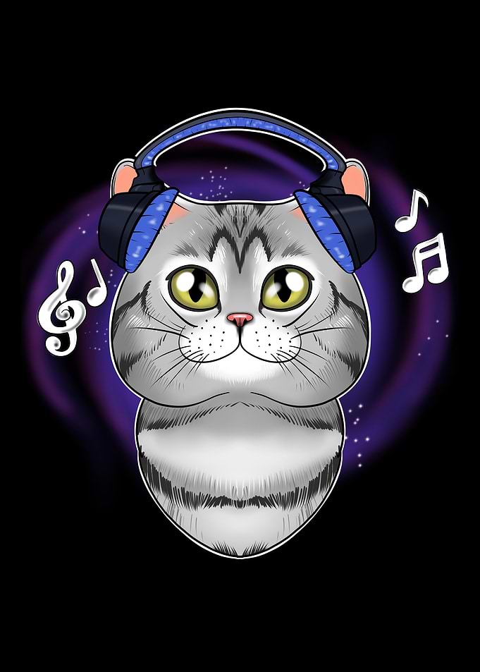 American Shorthair Cat