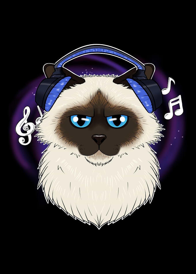 Cute Birman Cat I Music