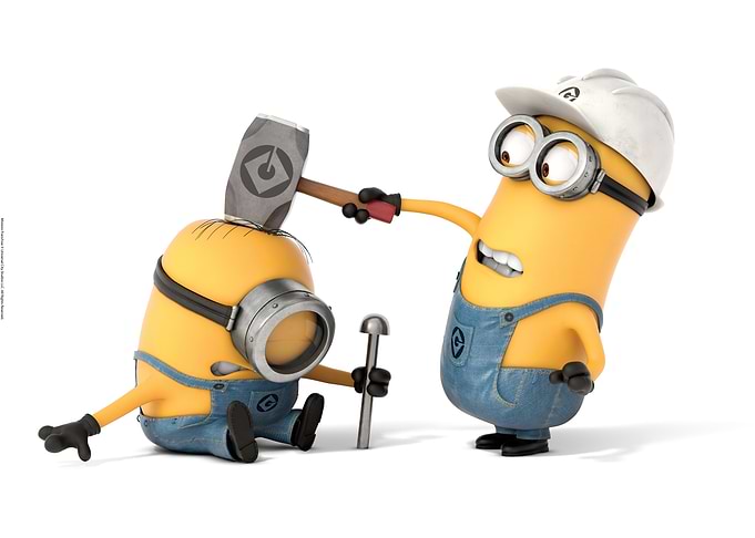 Minion H&S