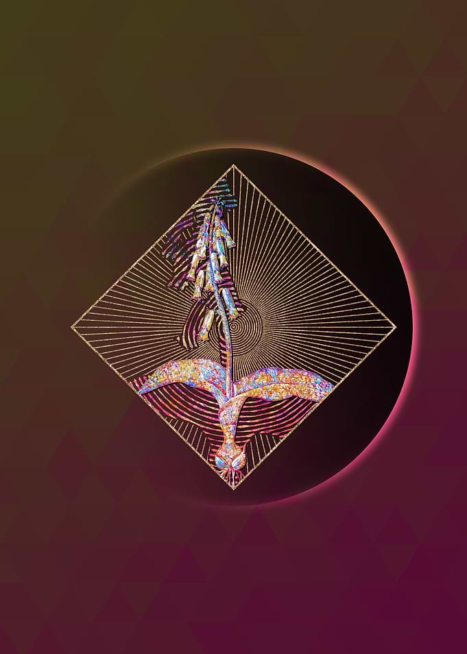 Geometric Mosaic Watsonia