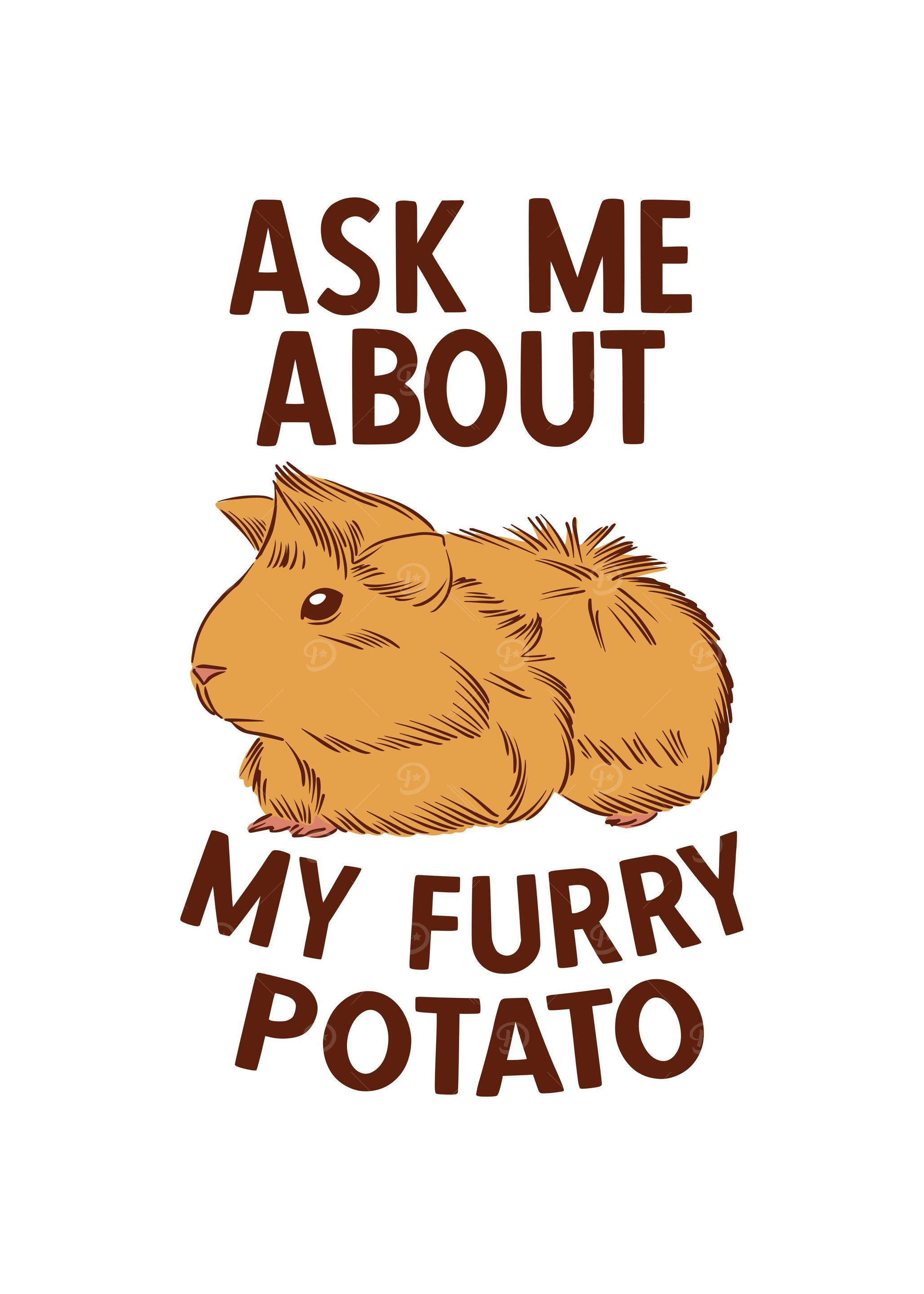 Furry Potato Guinea Pigs