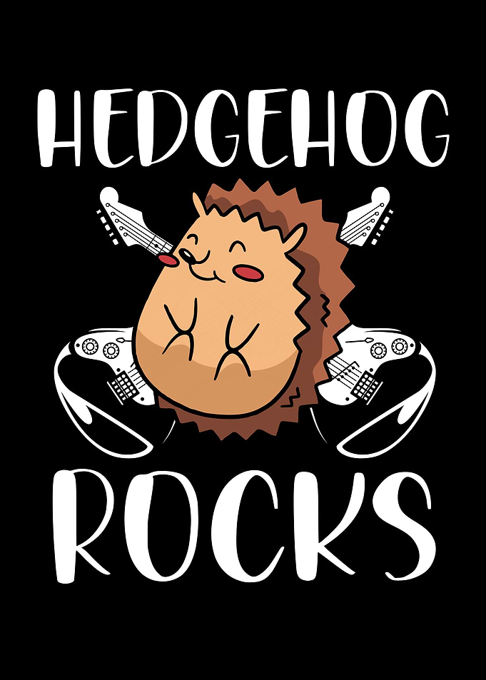 Cute Hedgehog rocks