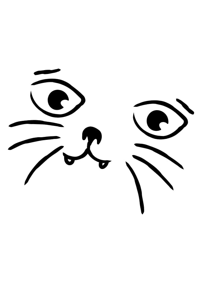 Happy Cat Face