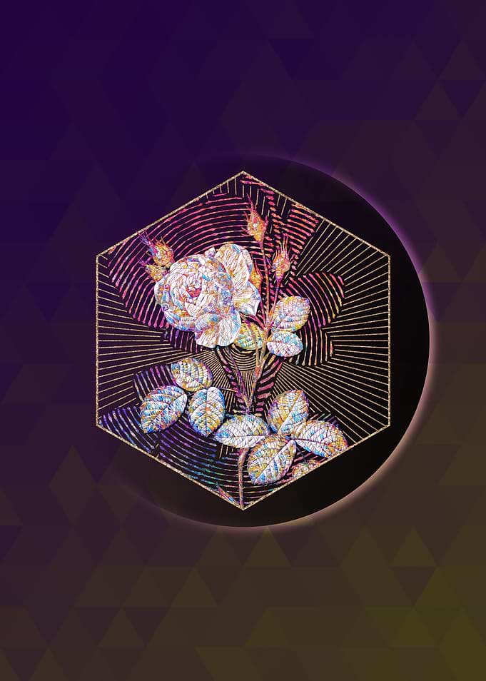 White Misty Rose Mosaic